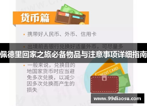 佩德里回家之旅必备物品与注意事项详细指南