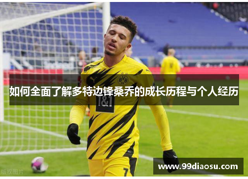 如何全面了解多特边锋桑乔的成长历程与个人经历