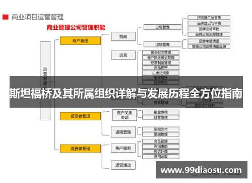斯坦福桥及其所属组织详解与发展历程全方位指南